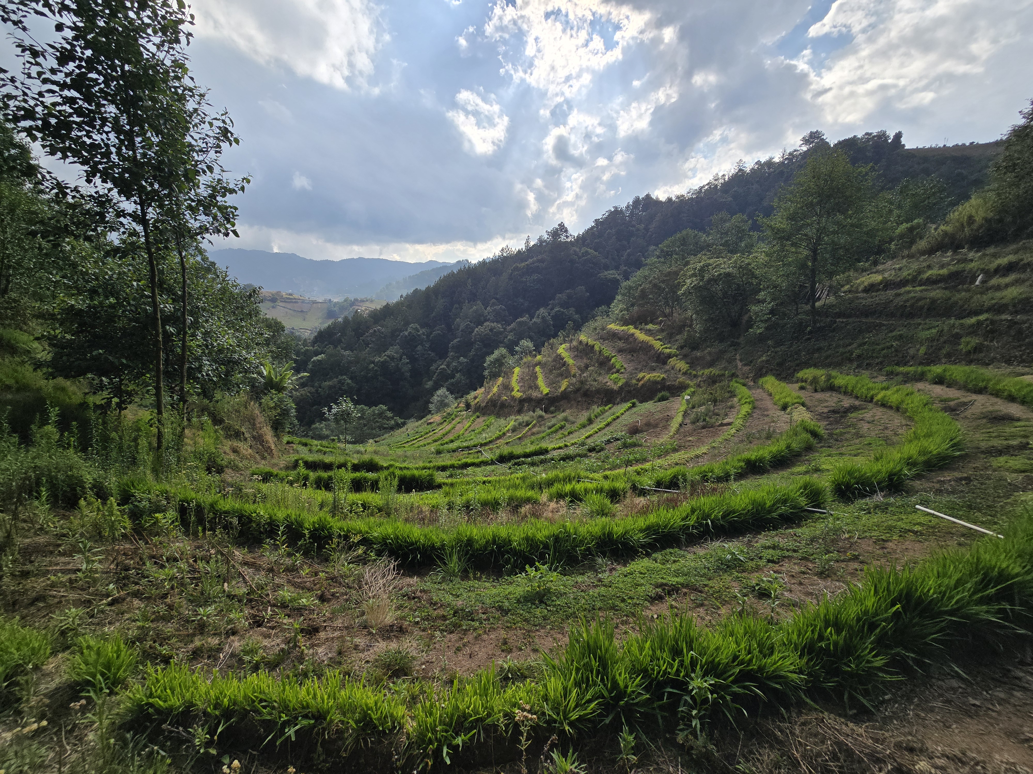Altiplano occidental de Guatemala