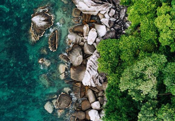 content featured image