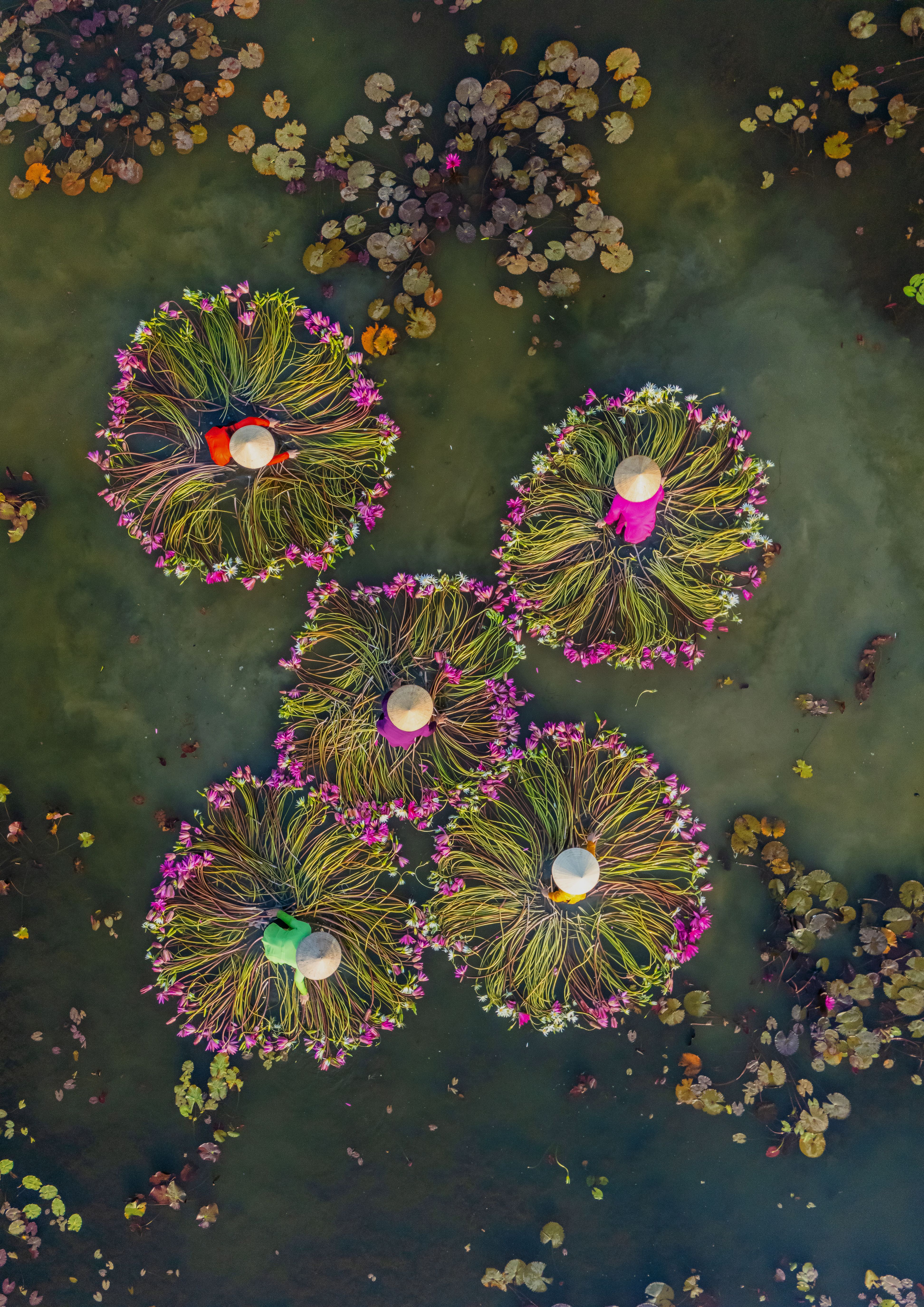 content featured image