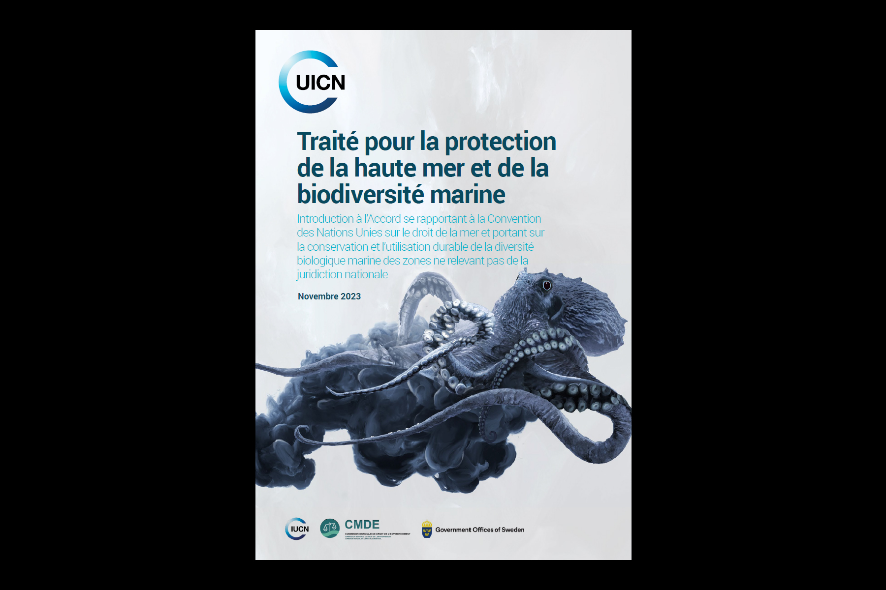 IUCN BBNJ Policy Brief Cover - FR