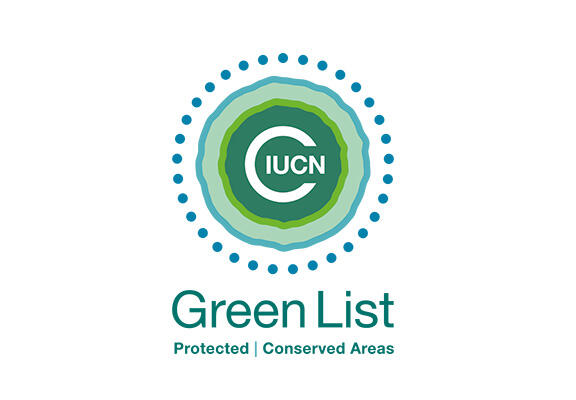 content featured image