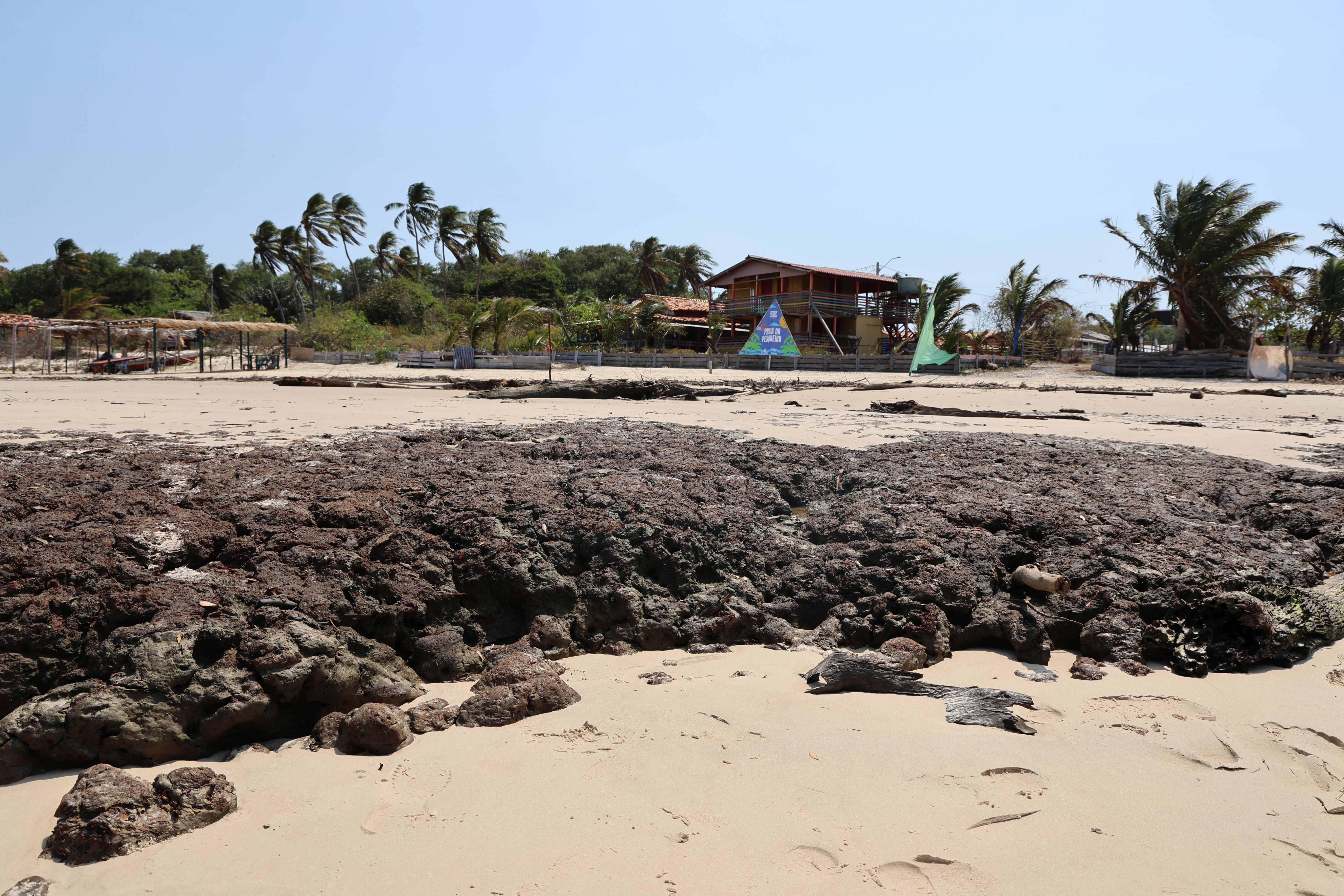 Coastal erosion on the Pesqueiro Beach, where coastal erosion has exposed a “paleo-mangrove”. This clay structure, an older geological layer, was previously buried beneath the sand