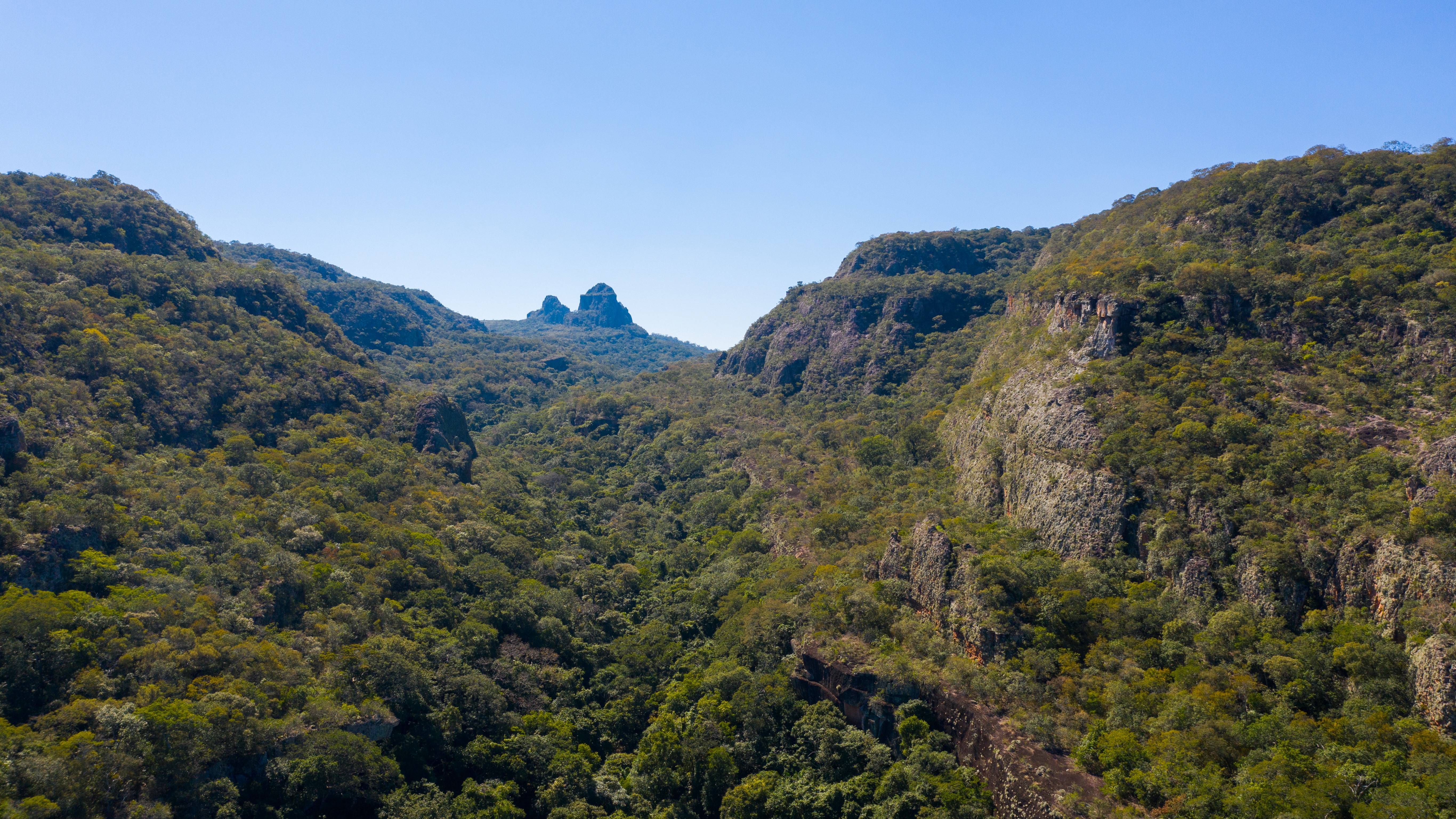 Chiquitano Dry Forest