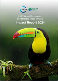 content featured image