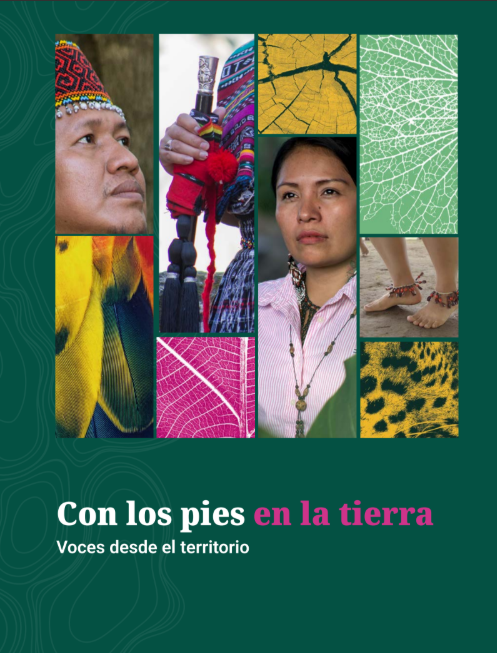 Revista Con los pies en la tierra