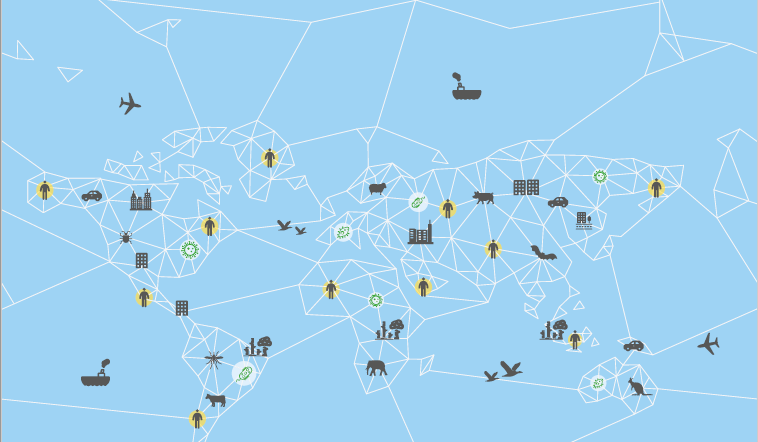 Wildlife an infrequent source of human illness: IUCN report 