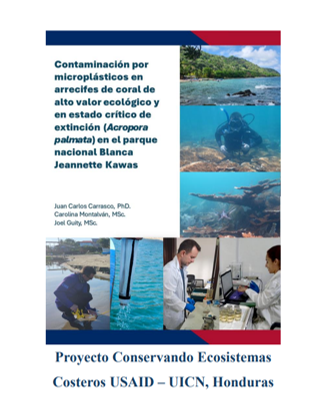 Cover Informe de Contaminación por Microplásticos