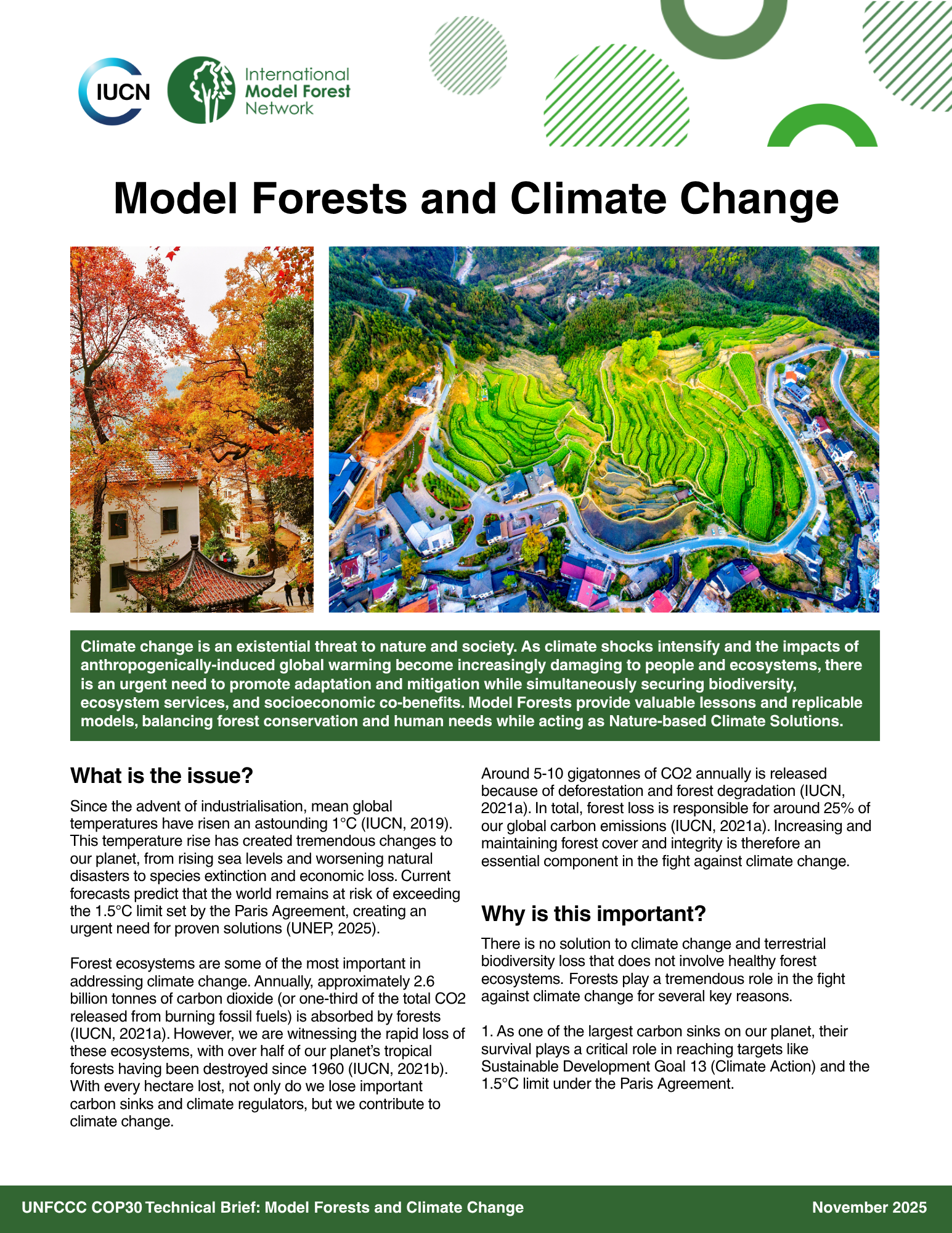 Model Forests and climate change 2