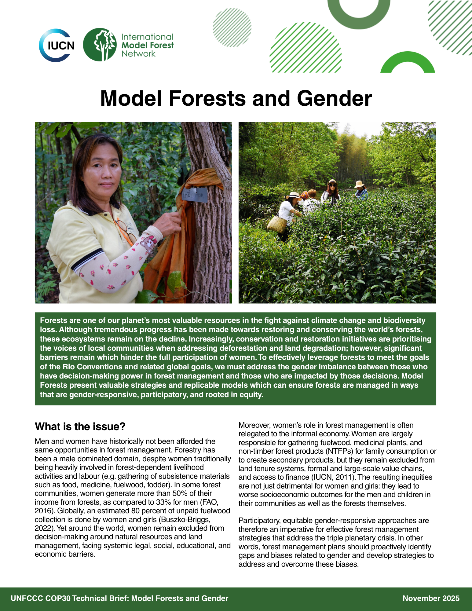Model Forests and gender 2