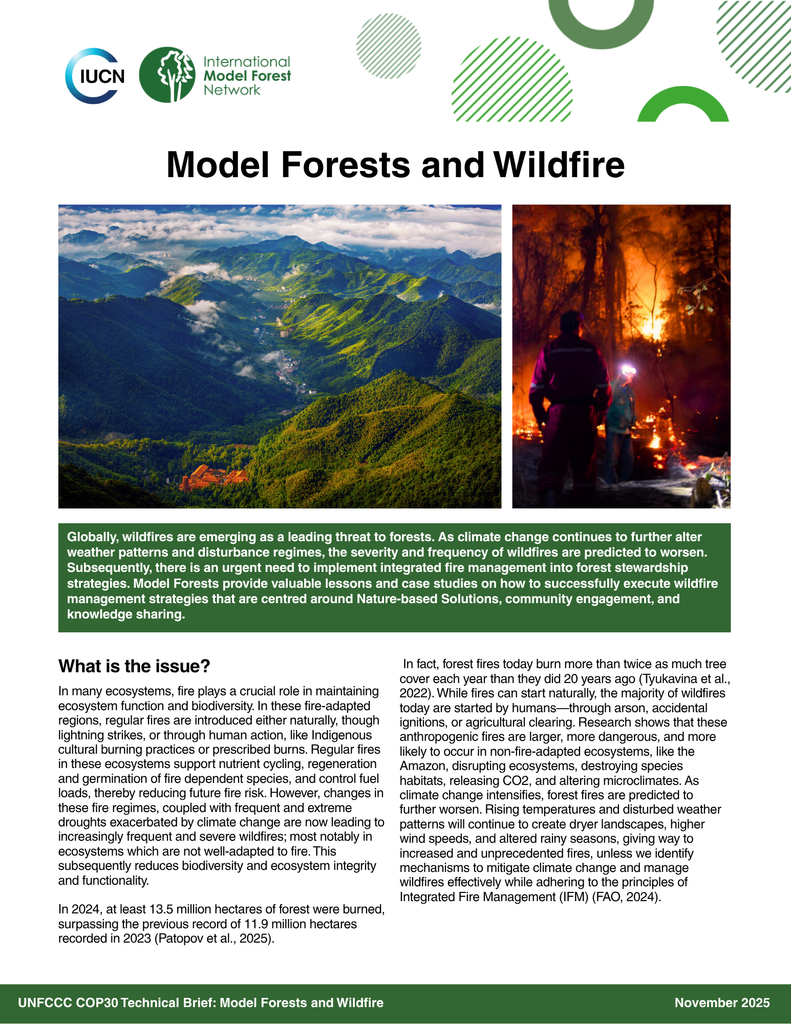 Model forests and wildfire