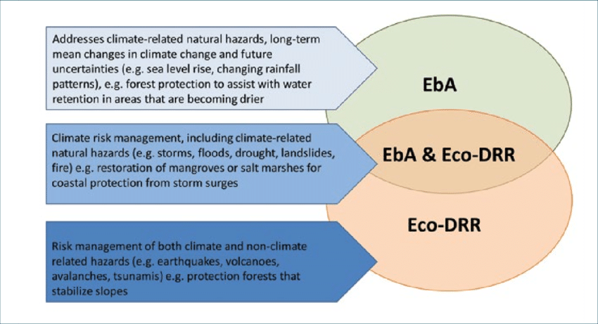 Overlap-between-EbA-and-Eco-DRR-Source-Lo-2016