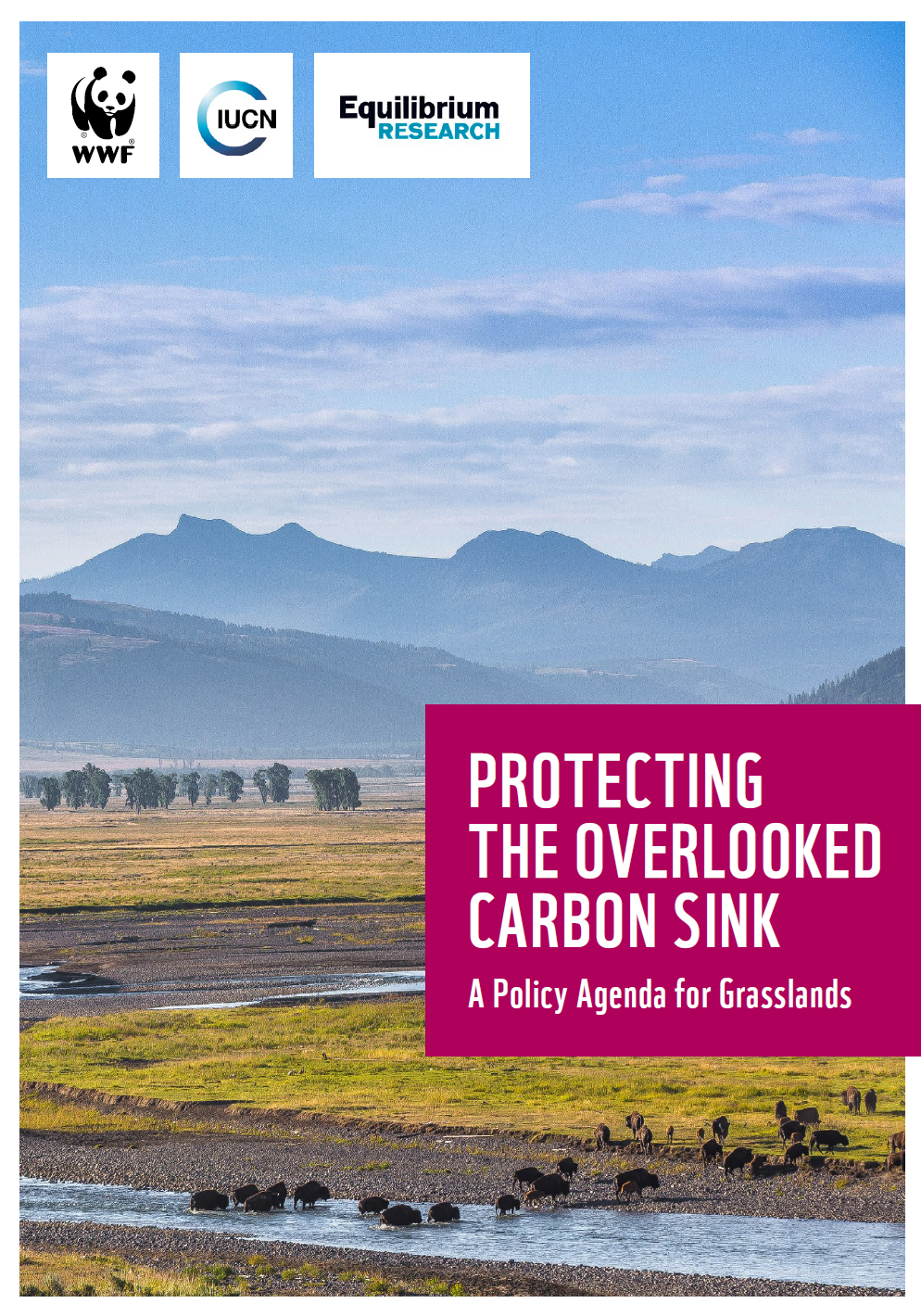 Policy brief_Grasslands