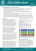 Regenerative Blue Economy Explainer Brief