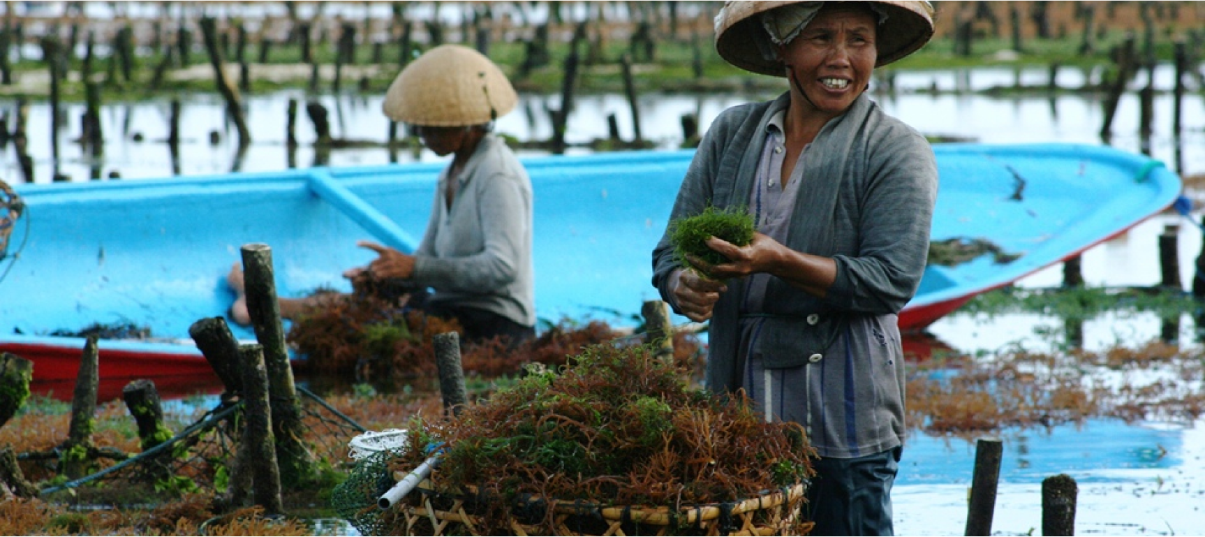 project-content-banner