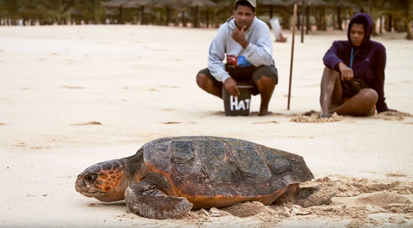 BIOPAMA grantees monitoring exercises