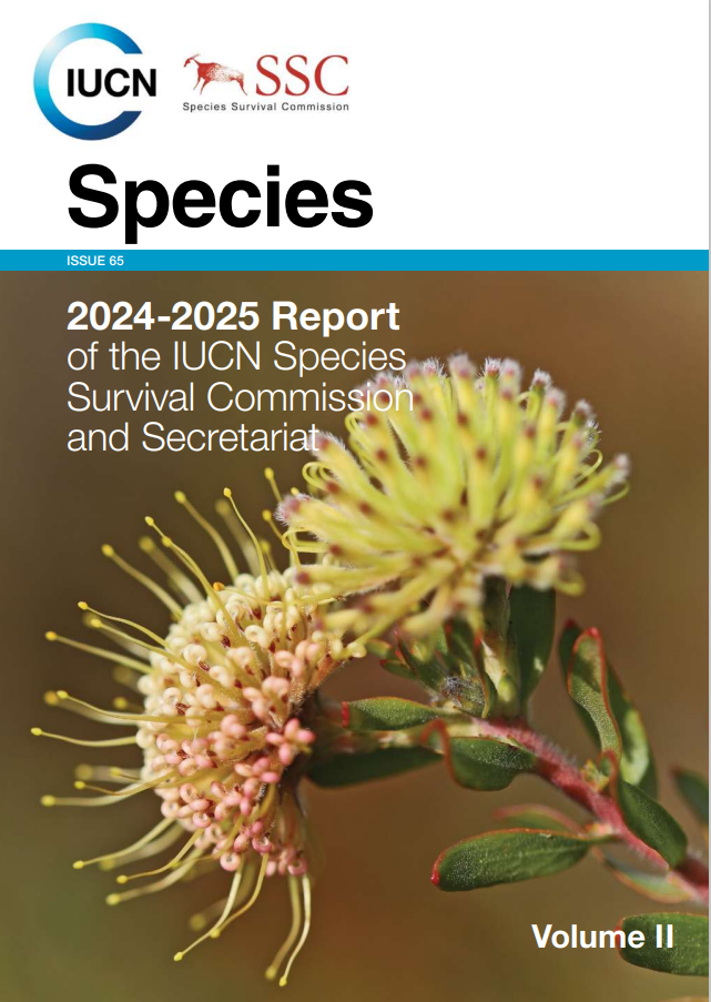 content featured image