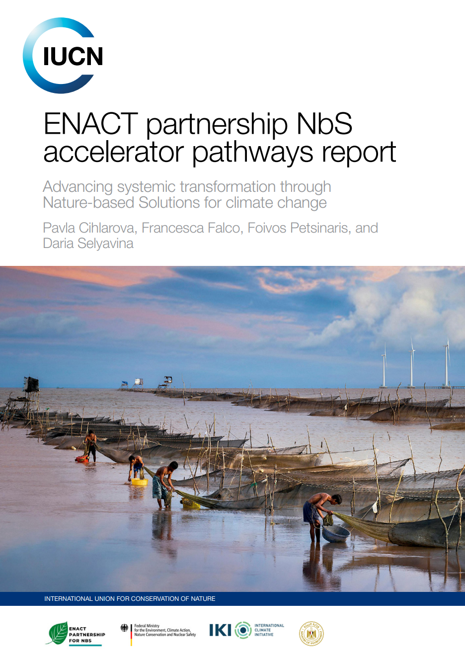 cover of report