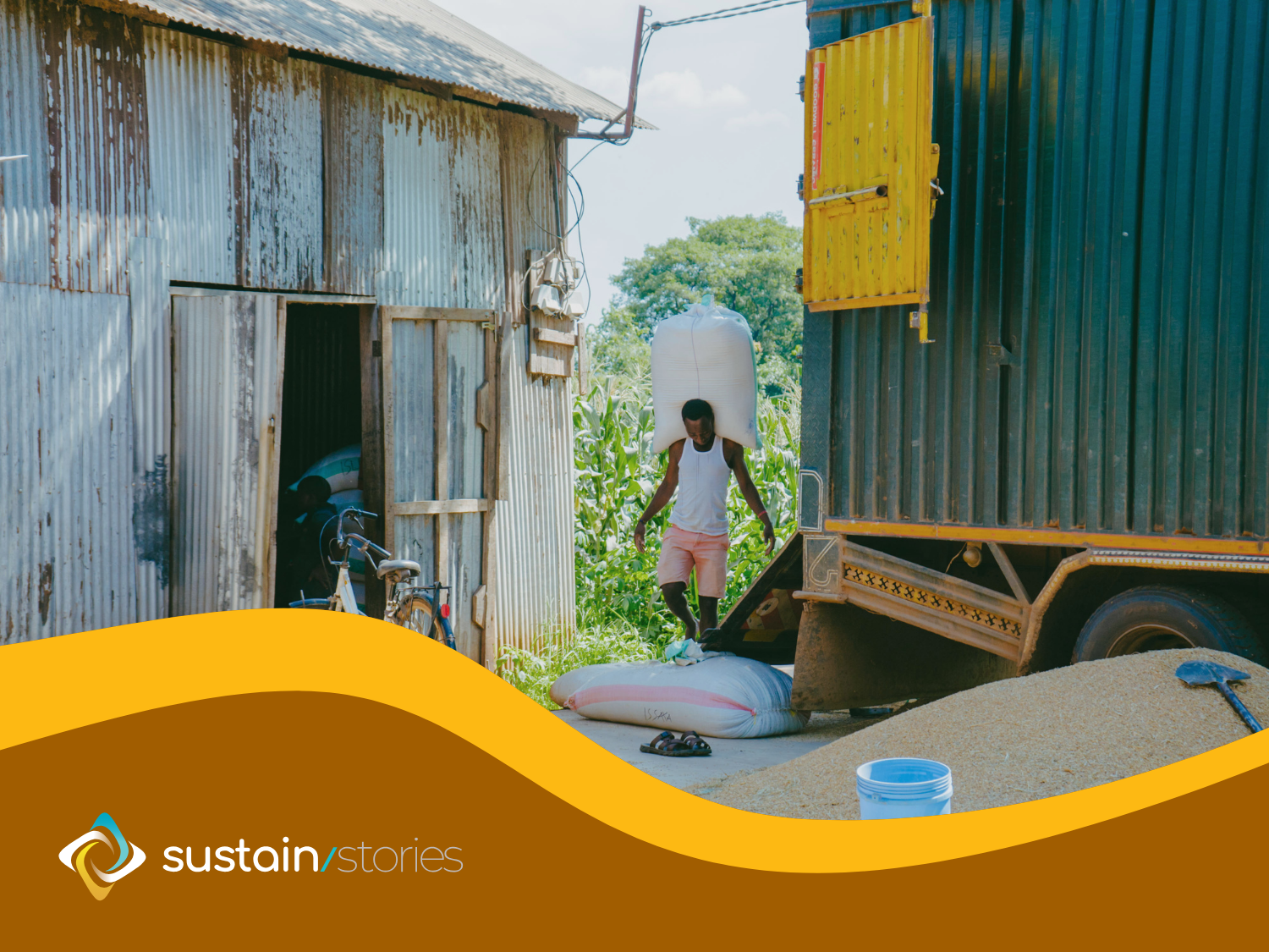 SUSTAIN/Stories - feature #2 cover