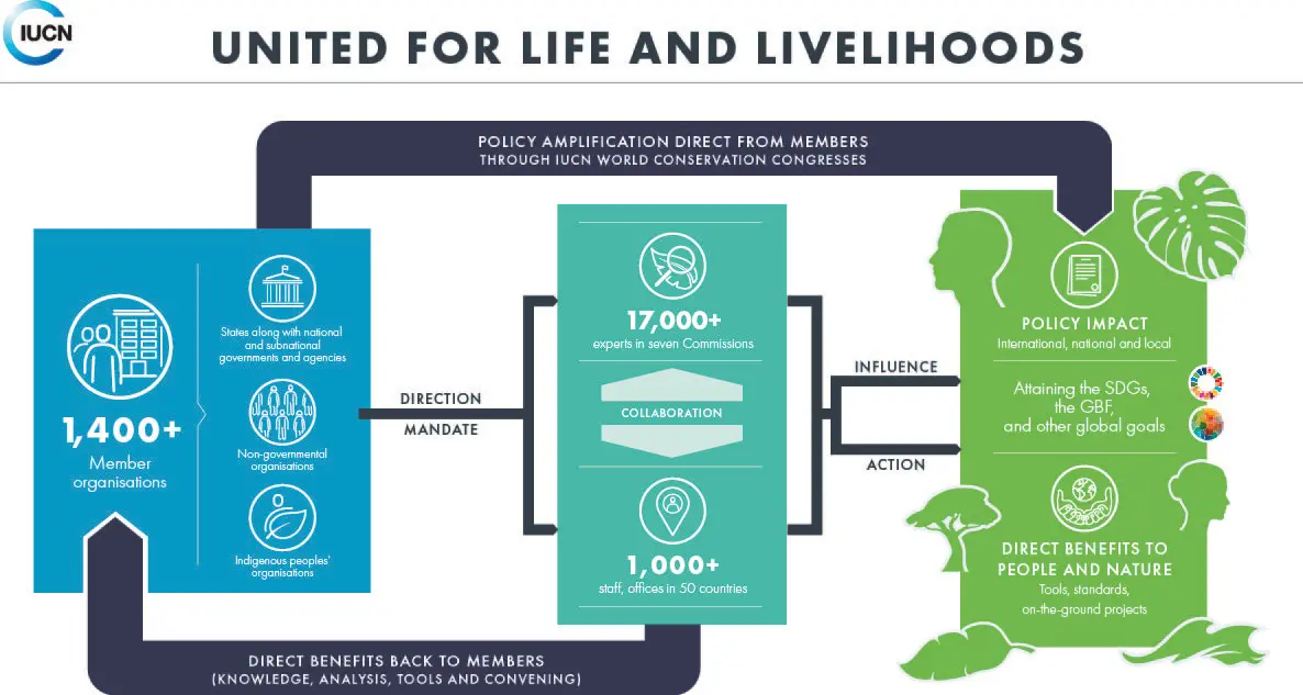 IUCN_Infographic_ENGLISH-Dec_12-highres-print_rezised